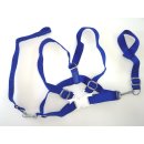 safety harness blue for kids